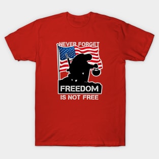 Never Forget Freedom Is Not Free, memorial day, military gift T-Shirt